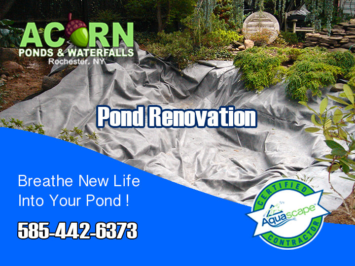 Pond-Waterfall Liner Replacement Services In Rochester-Buffalo-Western-NY